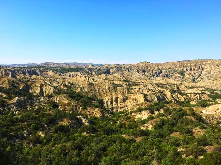 ორდღიანი ჯიპ-ტური ვაშლოვანის ნაკრძალში ❤️❤️❤️