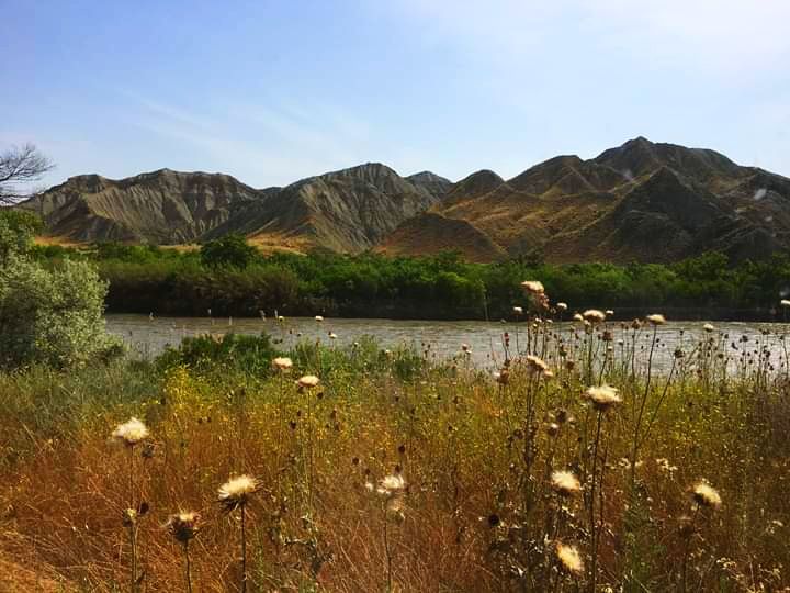 ორდღიანი ჯიპ-ტური ვაშლოვანის ნაკრძალში ❤️❤️❤️