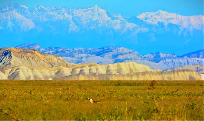 ორდღიანი ჯიპ-ტური ვაშლოვანის ნაკრძალში ❤️❤️❤️