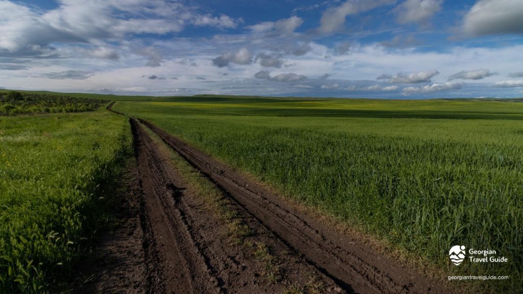 ვაშლოვანი: პანტიშარა, დათვისხევი, მოლუსკები, ალესილები და ა.შ.