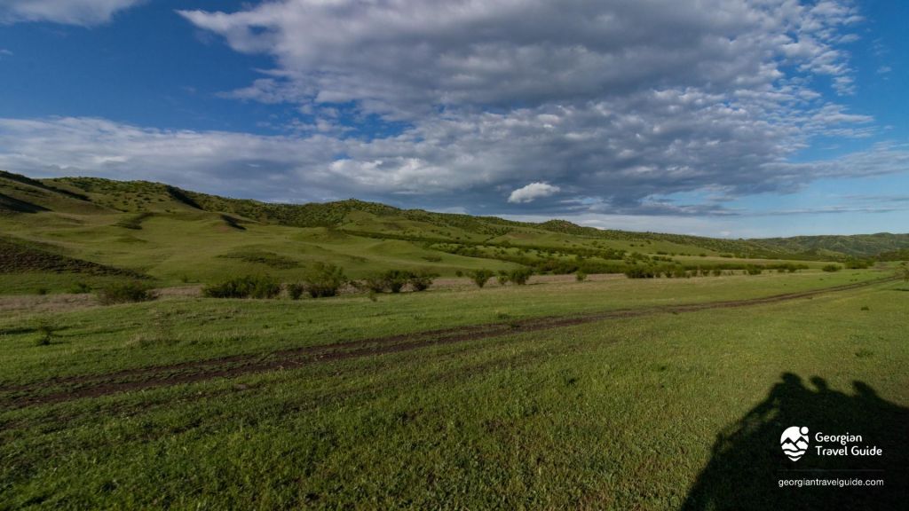 ვაშლოვანი: პანტიშარა, დათვისხევი, მოლუსკები, ალესილები და ა.შ.