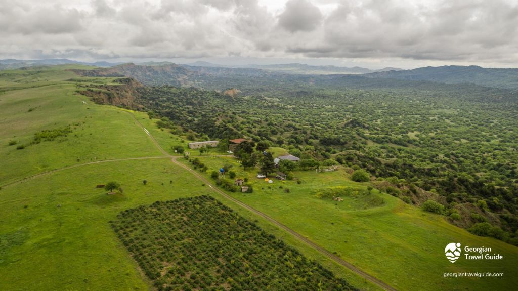 ვაშლოვანი: პანტიშარა, დათვისხევი, მოლუსკები, ალესილები და ა.შ.