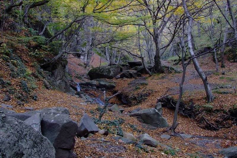 გეთსამანია, არმაზის ციხე..  ! კოსმო – აქცია ! პიკნიკ–ტურ ! კოდმანი, ანტიქია, ბეთლემი!!