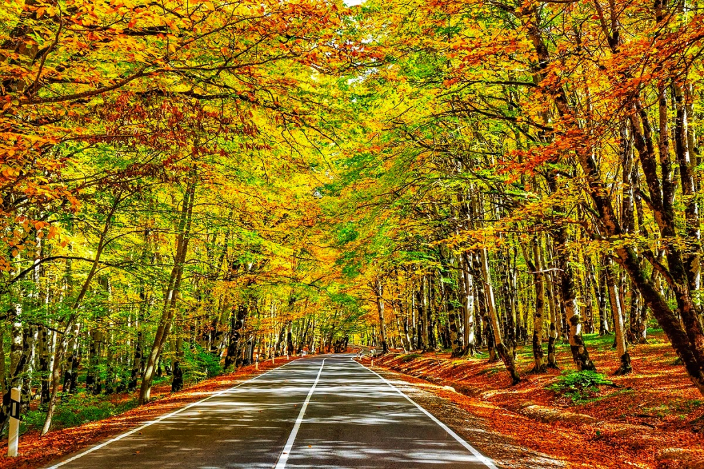 პანტანასას მონასტერი, საბადური, ფუძნარი განსხვავებული ერთდღიანი ტური