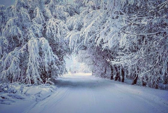 პანტანასას მონასტერი, საბადური, ფუძნარი განსხვავებული ერთდღიანი ტური