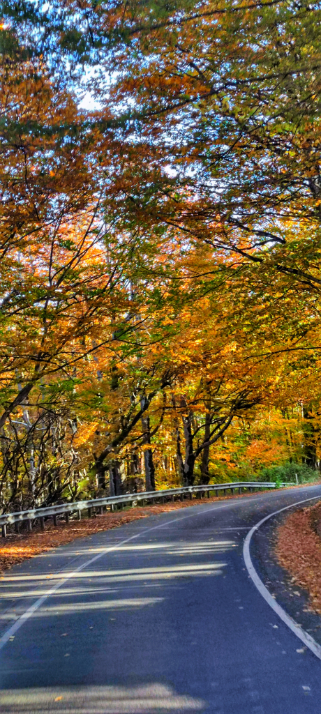პანტანასას მონასტერი, საბადური, ფუძნარი განსხვავებული ერთდღიანი ტური
