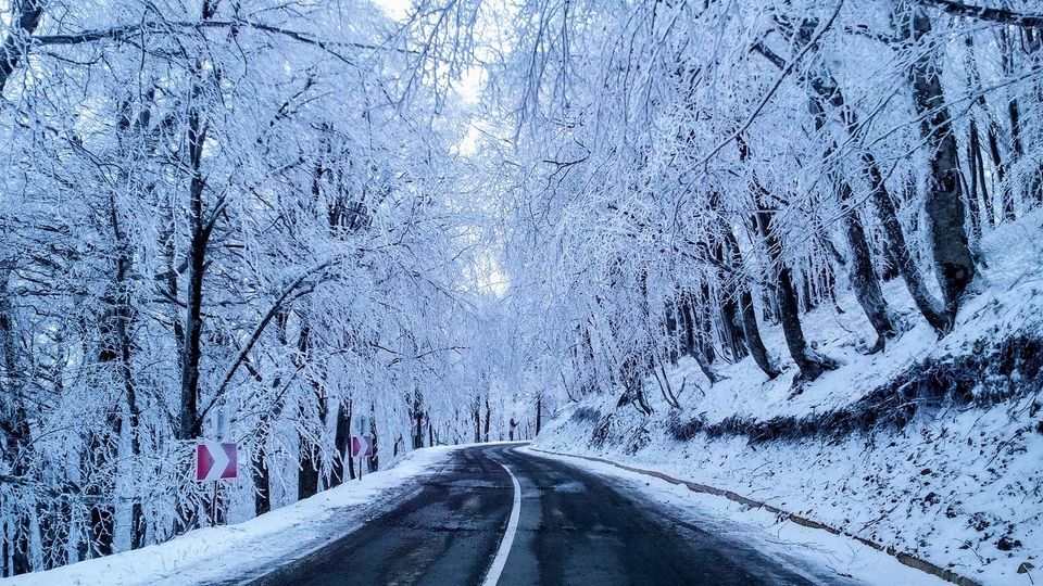 პანტანასას მონასტერი, საბადური, ფუძნარი განსხვავებული ერთდღიანი ტური