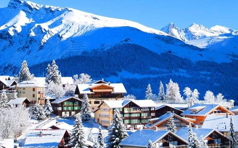 ბაკურიანის  დღიანი ტური