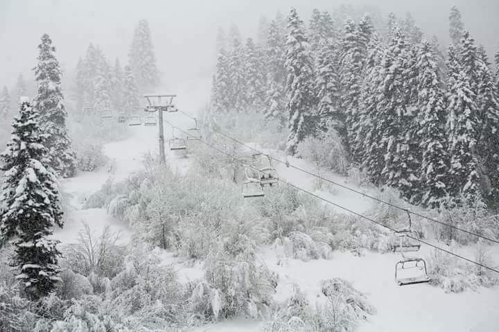 ტრანსფერები სამთო კურორტებზე ❄️❄️❄️