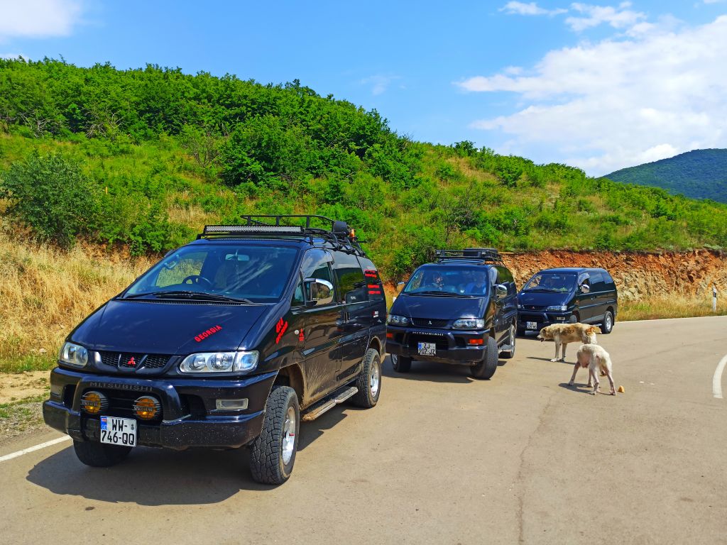 ტრანსფერები სამთო კურორტებზე ❄️❄️❄️