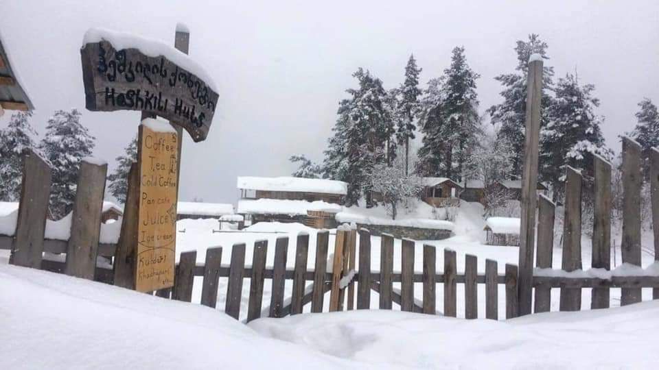 ტრანსფერები სამთო კურორტებზე ❄️❄️❄️⛷️⛷️⛷️