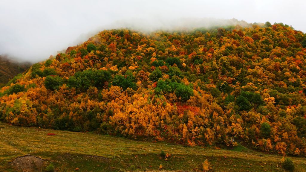 ორდღიანი ჯიპ-ტური პირიქითა ხევსურეთში! შატილი, მუცო, არდოტი.