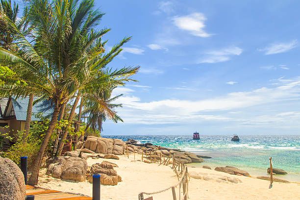 მოგზაურობა შარმ ელ შეიხში