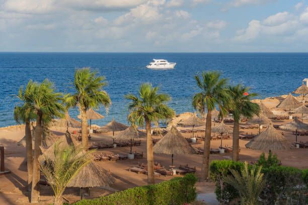 მოგზაურობა შარმ ელ შეიხში