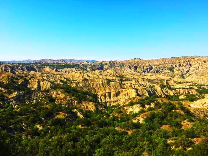 ორდღიანი ჯიპ-ტური ვაშლოვანის ნაკრძალში