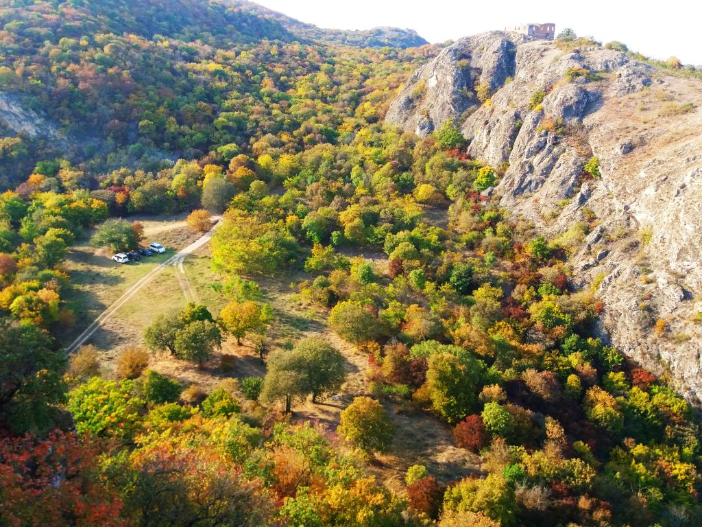 ორდღიანი ჯიპ-ტური ვაშლოვანის ნაკრძალში