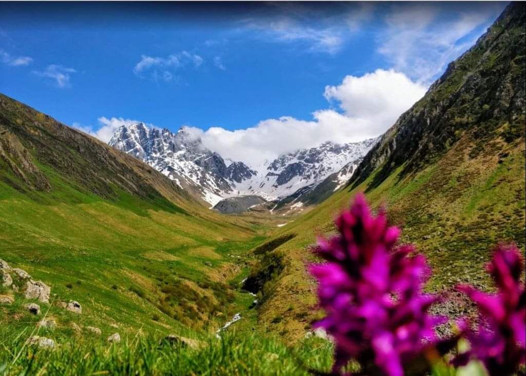 ჯუთა + დარიალი + ყაზბეგი