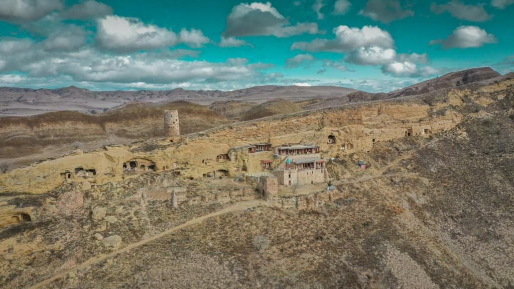 დავით გარეჯი