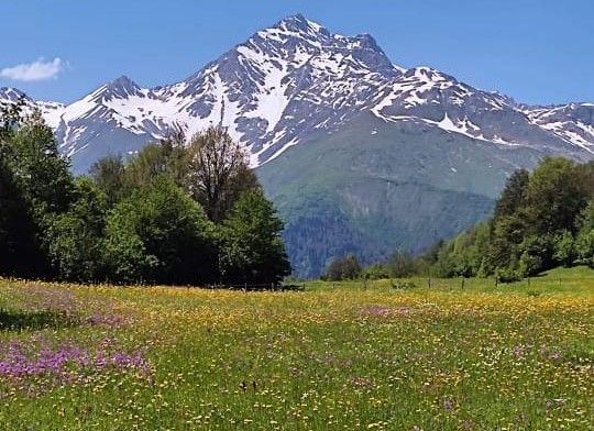 აღმოაჩინეთ სვანეთი - ნ ა კ რ ა!
