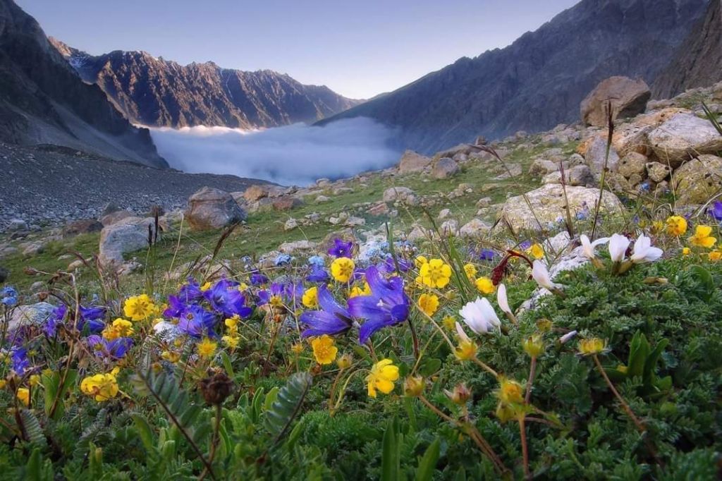 აღმოაჩინეთ სვანეთი - ნ ა კ რ ა!