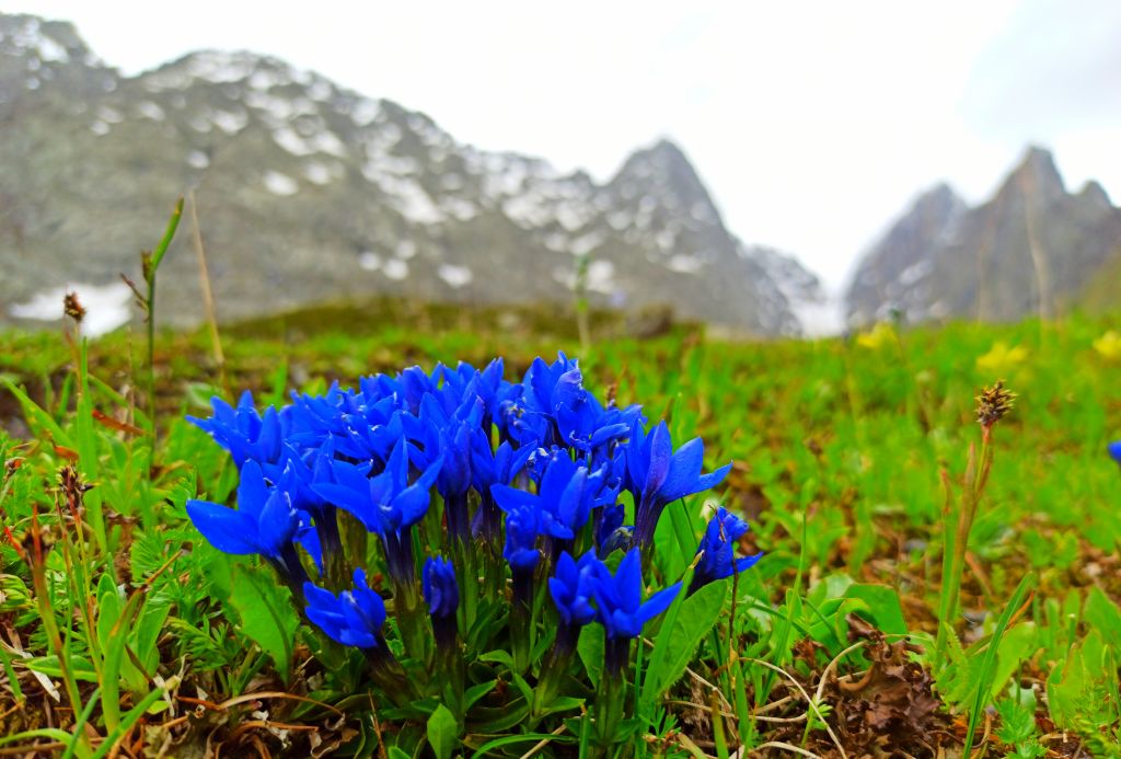 ერთდღიანი ჯიპ-ტური აბუდელაურის ფერად ტბებზე ❤️❤️❤️