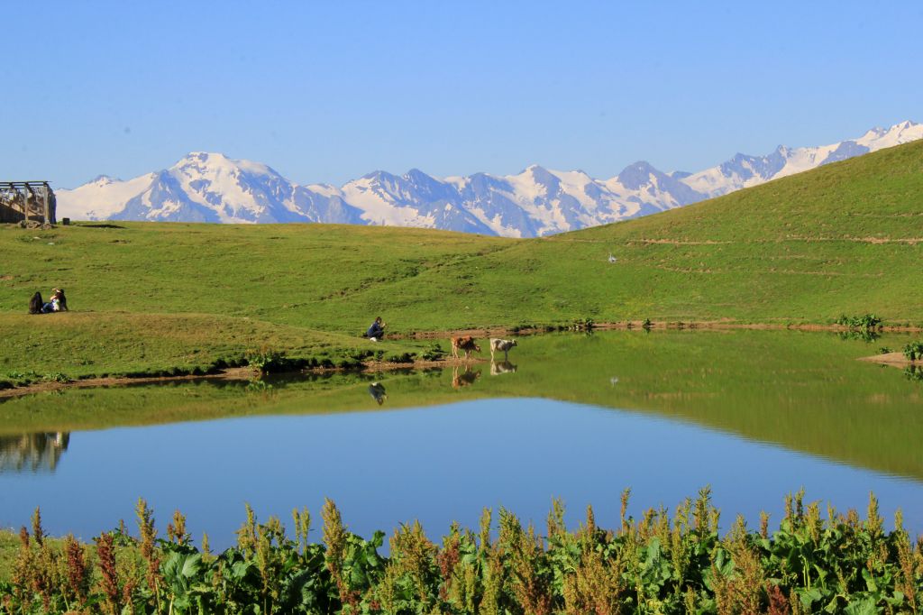 Days Tour in Svaneti Region