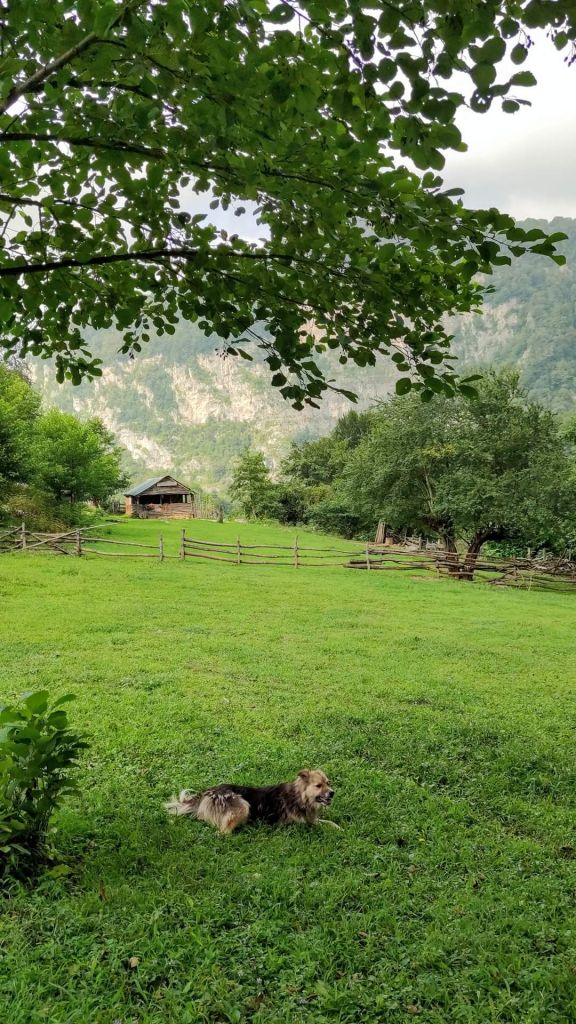 სამეგრელოს ჩანჩქერები და კანიონები! განსხვავებული ორდღიანი ტური!