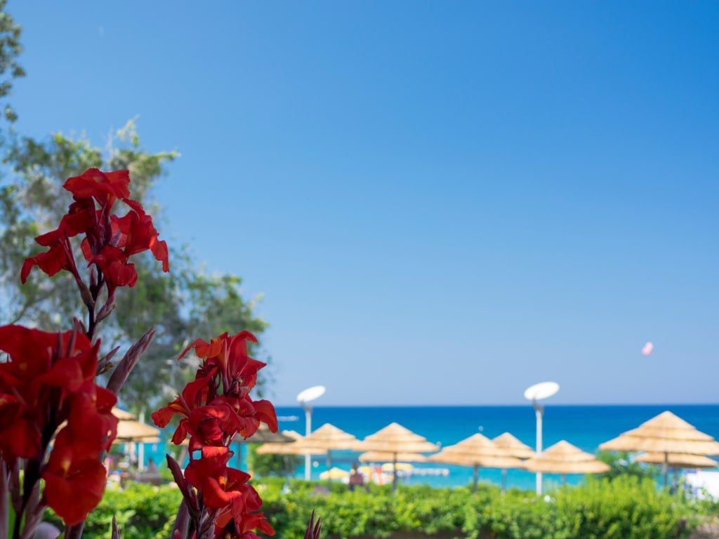 კვიპროსი / აია ნაპა