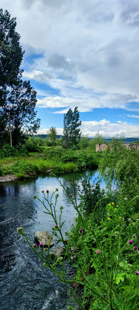 დაშბაშის-წალკის კანიონი - მ შუშის ხიდი, კას ლენდი, ელიზაბეთტალი, ერთდღიანი ტური