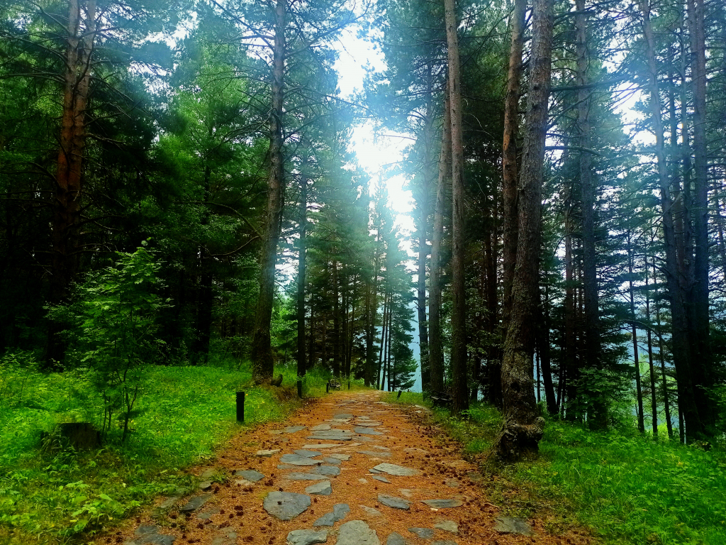 -- ივლისს სამდღიანი ჯიპ-ტური ულამაზეს თუშეთში ❤️❤️❤️