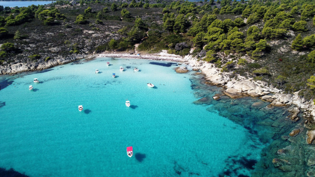 ჰალკიდიკი