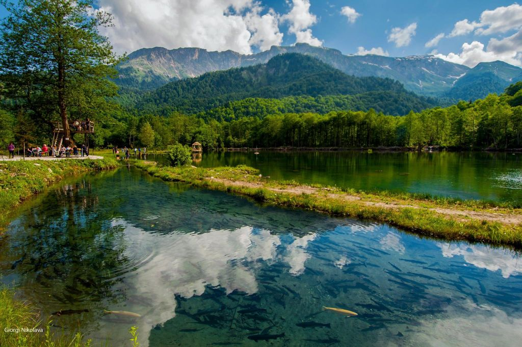 ლეჩხუმი