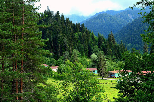 ლეჩხუმი