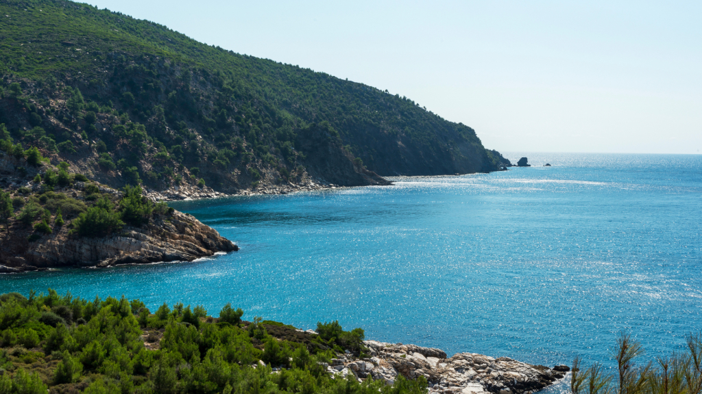 ჰალკიდიკი