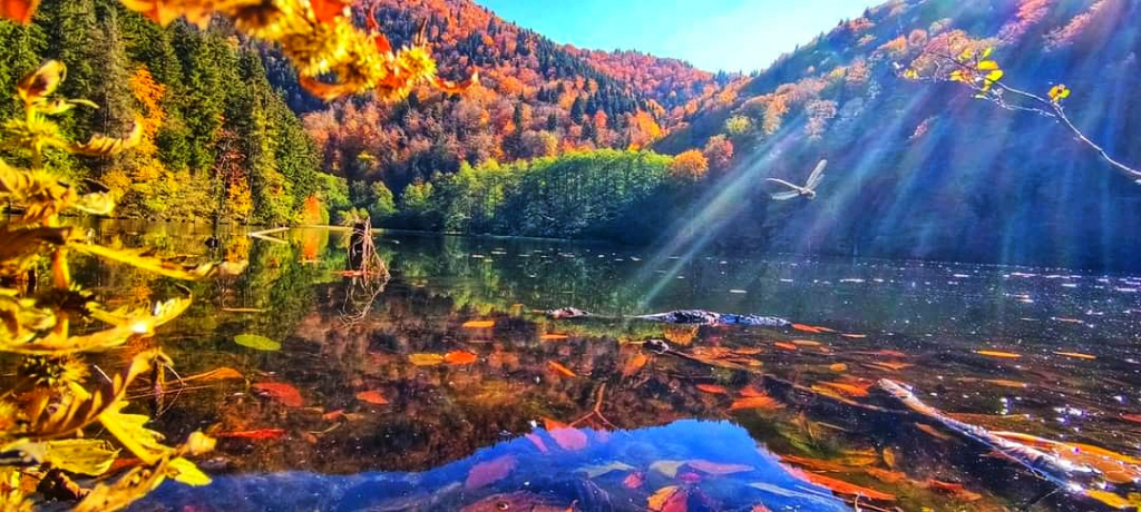 ძამას ხეობა, თოვლიანი ბატეთის ტბა, ერთდღიანი ტური