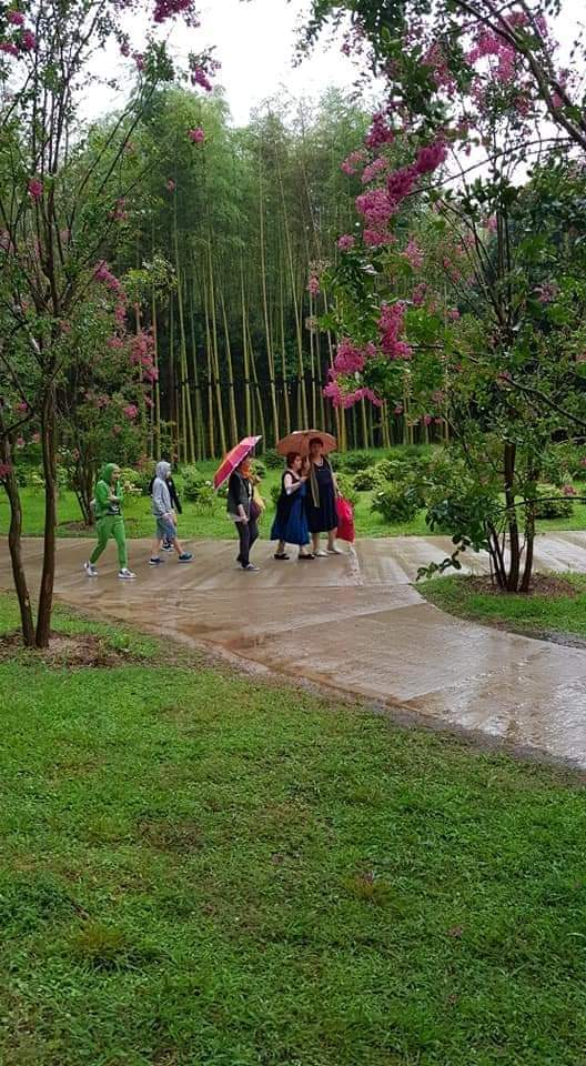 აჭარის დღიანი ტური