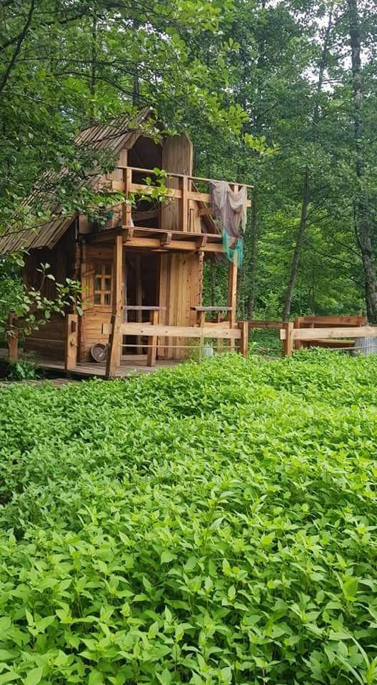 აჭარის დღიანი ტური