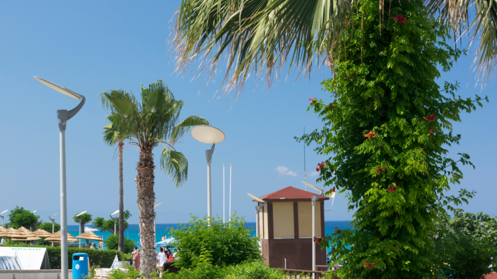 აია ნაპა