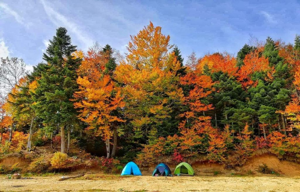 რაჭის ტური :  დღე ფერად სმაყაროში ( ცხრაჯვარი, ონი, ამბროლაული, მრავალძალი,უწერა,შოვი)