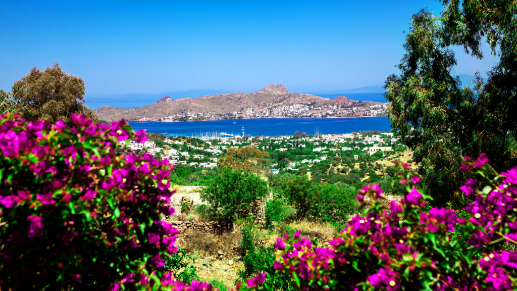 ბოდრუმი