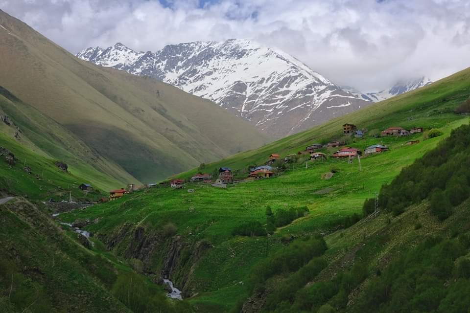 ჯუთა ჭაუხი