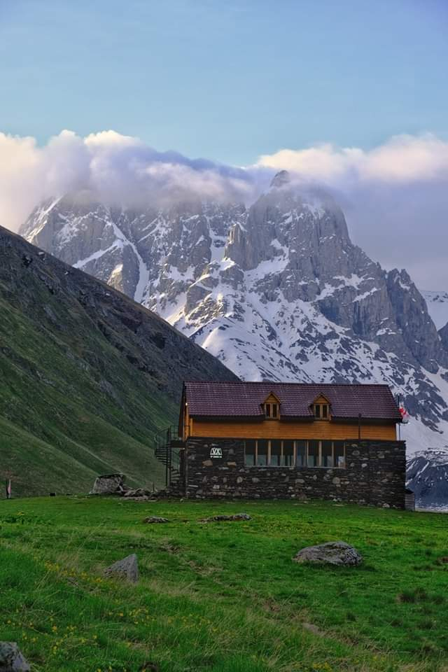 ჯუთა ჭაუხი