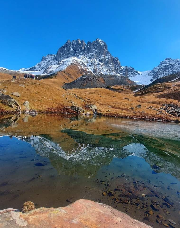 ჯუთა ჭაუხი