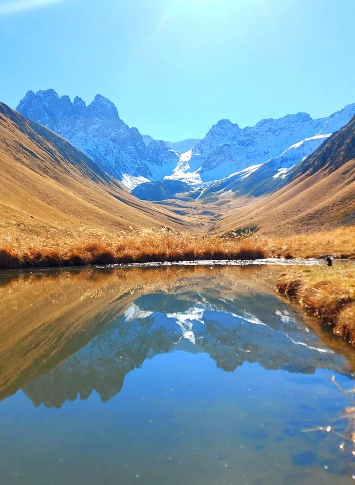 ჯუთა ჭაუხი