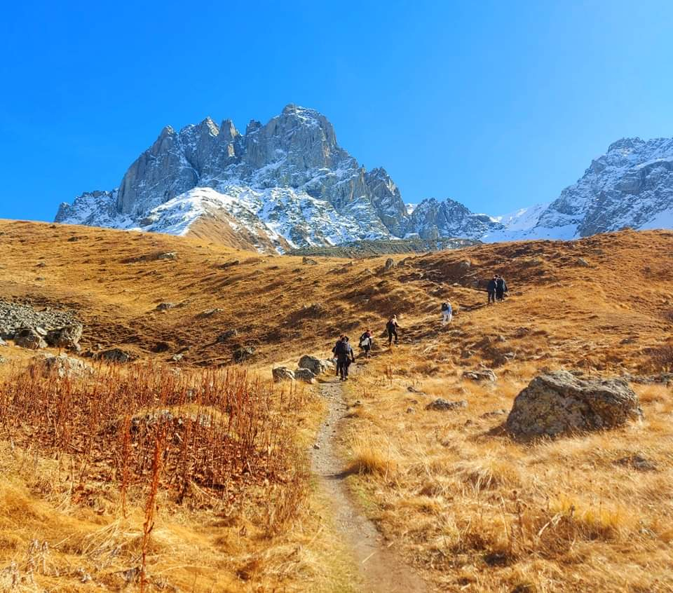 ჯუთა ჭაუხი