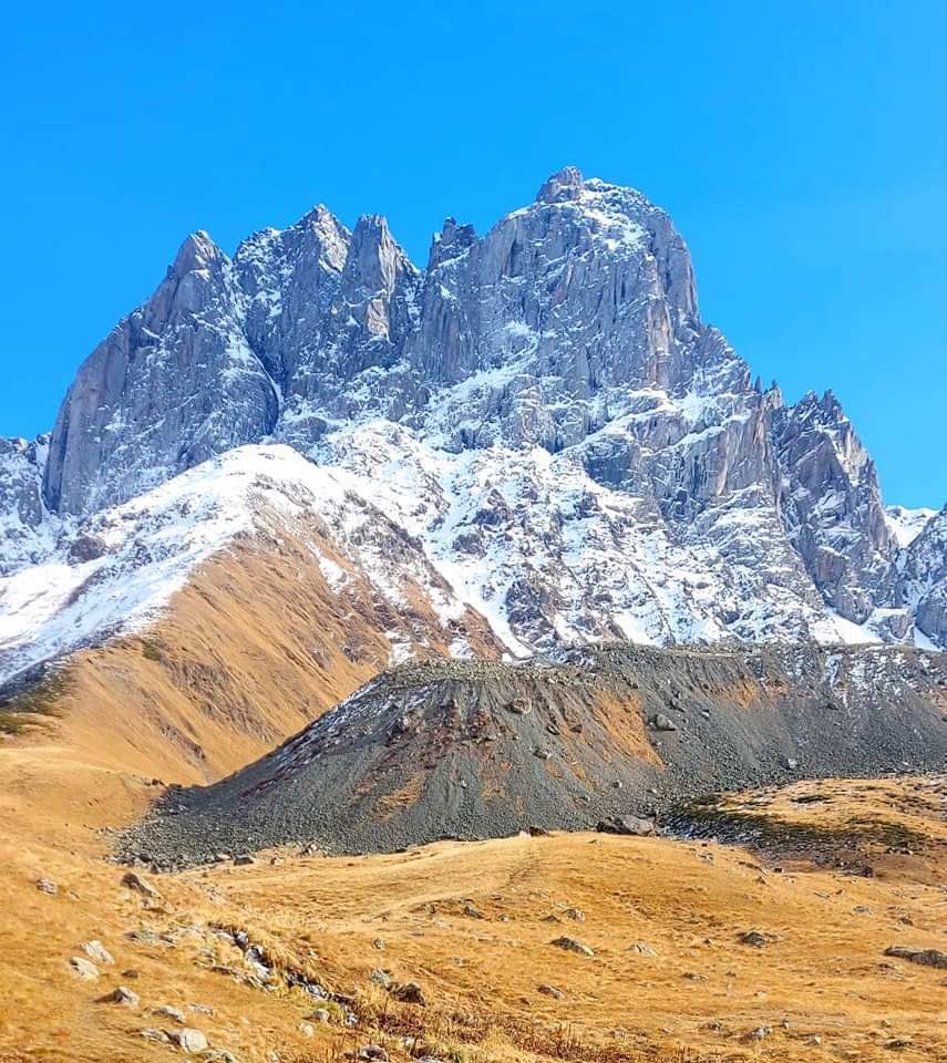 ჯუთა ჭაუხი
