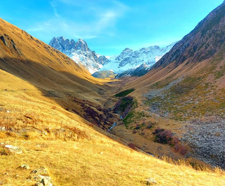 ჯუთა ჭაუხი