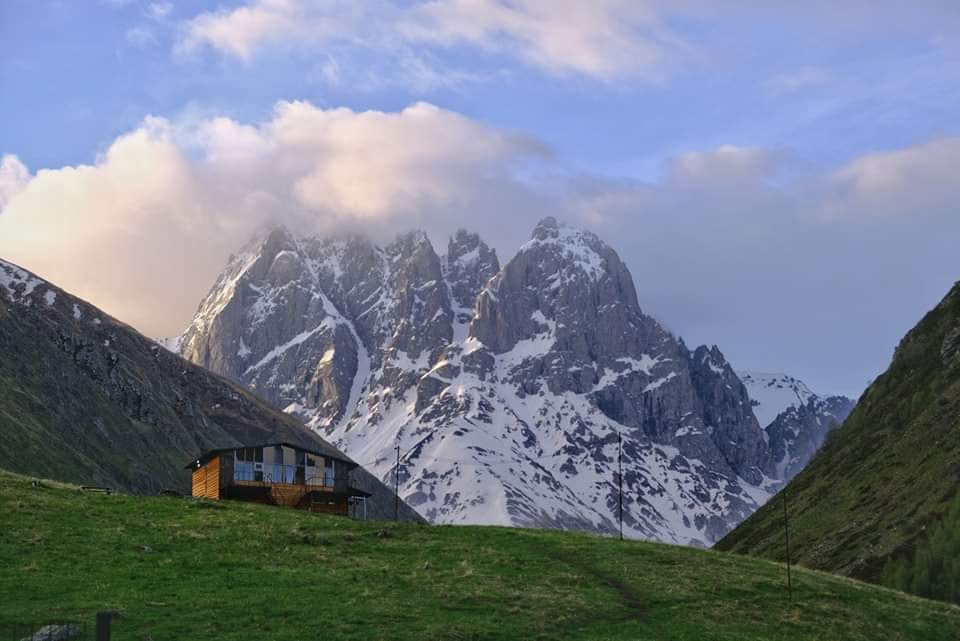 ჯუთა ჭაუხი