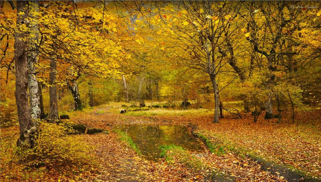 რკონის კომპლექსი - შემოდგომის ფერები