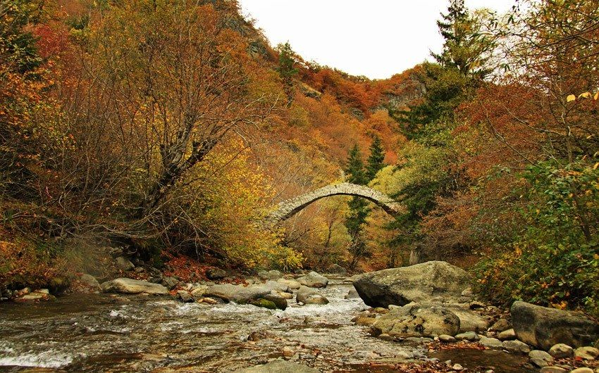 რკონის კომპლექსი - შემოდგომის ფერები